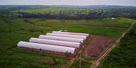 Innovative Developments are Transforming the Ecology Green Farm