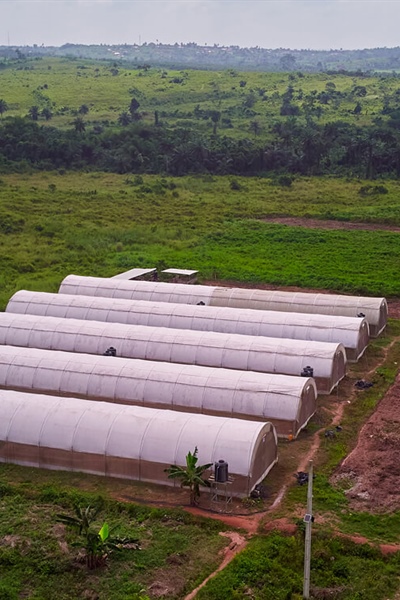Innovative Developments are Transforming the Ecology Green Farm